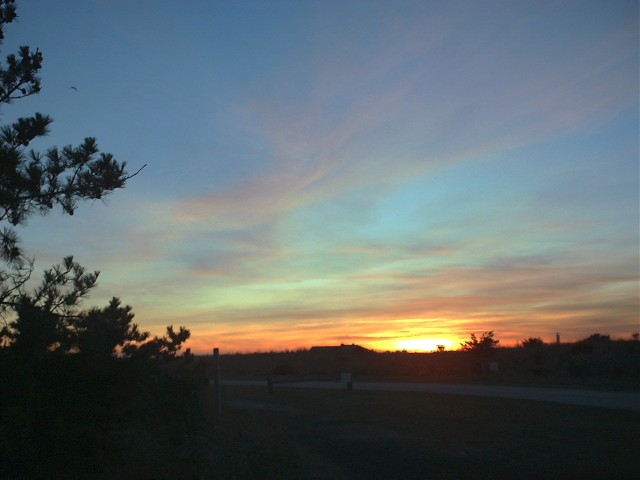 [photo]
