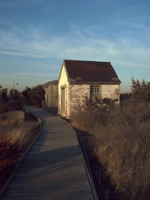 [photo]