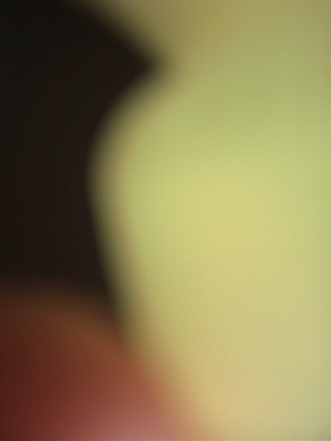 [photo]